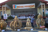 Obrazek dla news_994